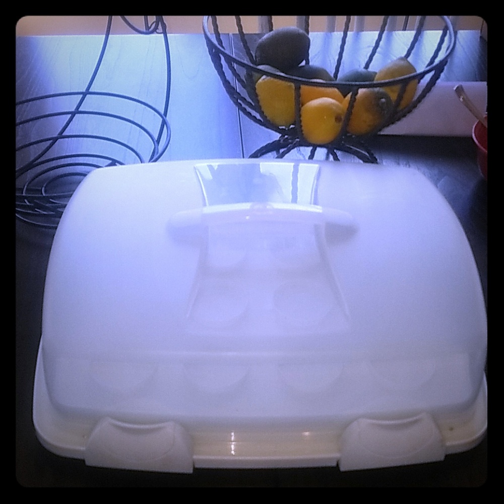 Cupcake tuberware carrier with 2 sides 3N1